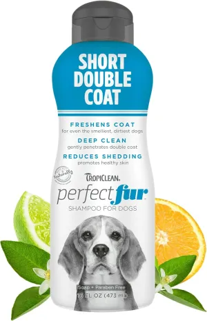 TropiClean Perfect Fur Deodorizing and Deshedding Dog Shampoo for Smelly Dogs, For Breeds with Short Double Coats like Corgis, Labs, Beagles, Rottweilers, Natural Shampoo, Puppy Safe, 16oz