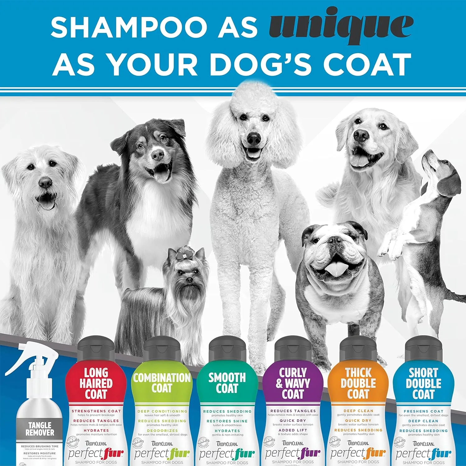 TropiClean Perfect Fur Deodorizing and Deshedding Dog Shampoo for Smelly Dogs, For Breeds with Short Double Coats like Corgis, Labs, Beagles, Rottweilers, Natural Shampoo, Puppy Safe, 16oz